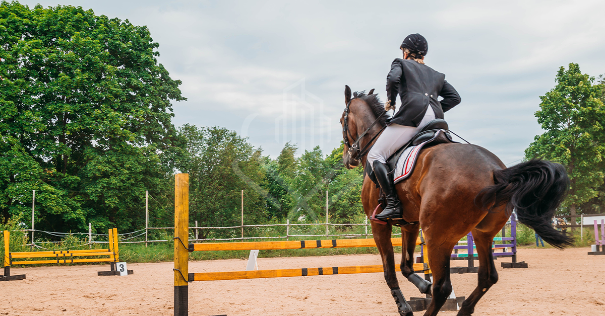 horse riding, horse riding club, what is lakeshore, luxury life awaits you in pakistan, lakeshore, its lake o’clock, lakeshore city, lakeshore farms, lakeshore farmhouses, lakeshore clubs, lakeshore residencia
