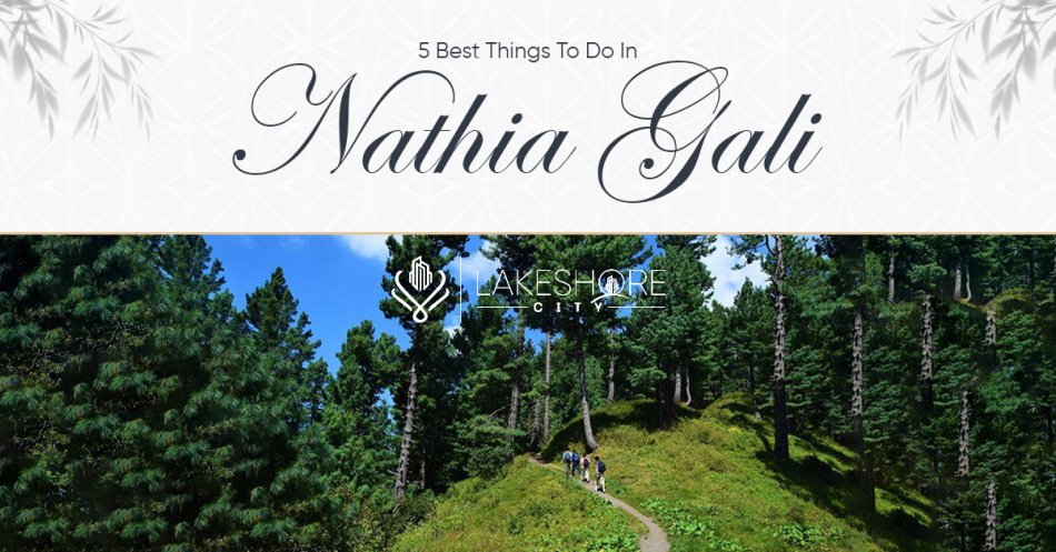 5 Best Things To Do In Nathia Gali