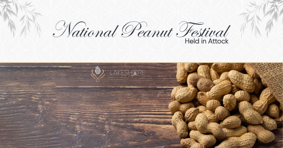 National Peanut Festival Held in Attock