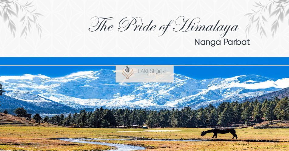 The Pride of Himalaya: Nanga Parbat