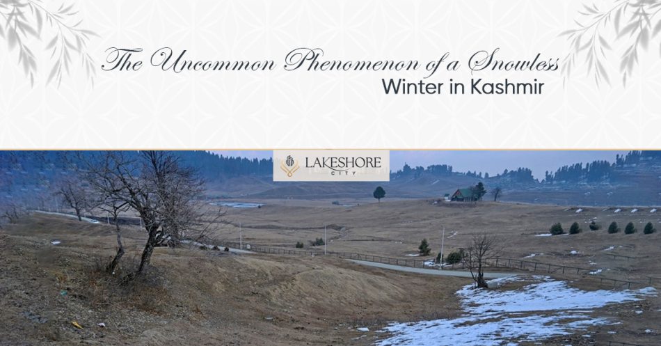 The Uncommon Phenomenon of a Snowless Winter in Kashmir