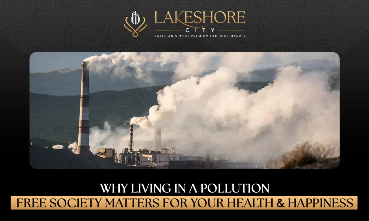 Why Living in a Pollution-Free Society Matters for Your Health & Happiness
