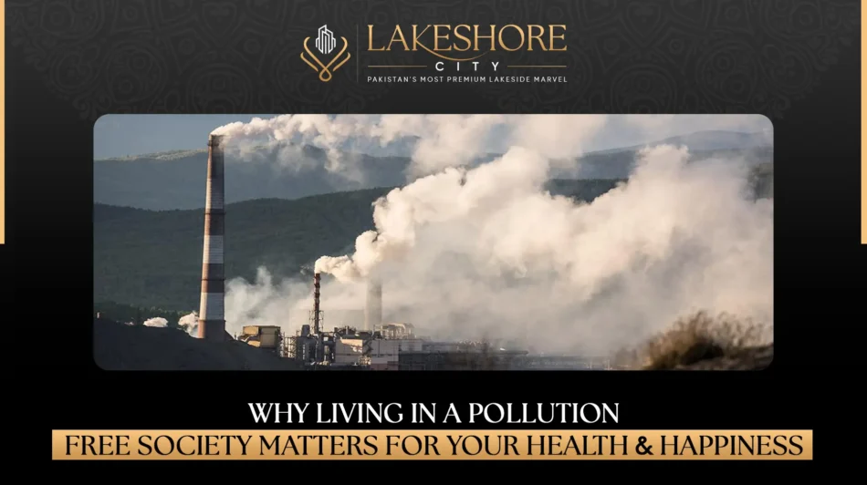 Why Living in a Pollution-Free Society Matters for Your Health & Happiness