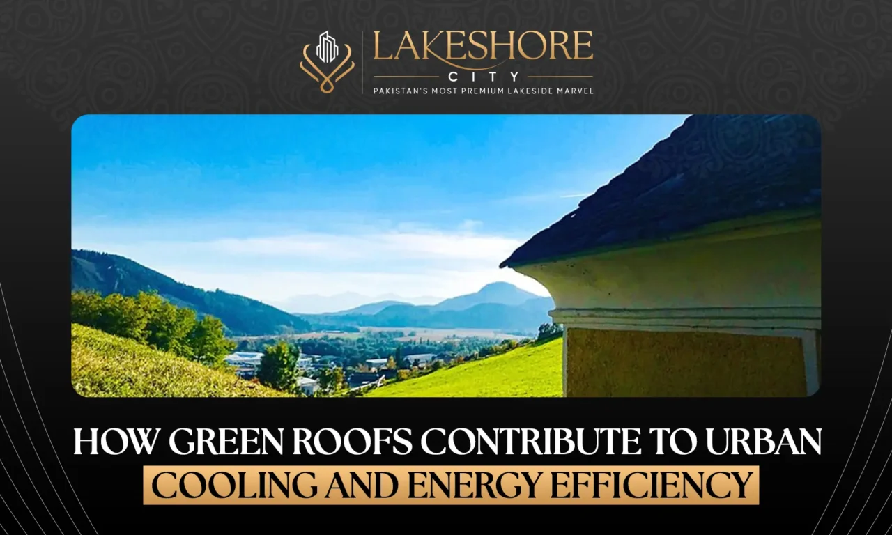 How Green Roofs Contribute to Urban Cooling and Energy Efficiency