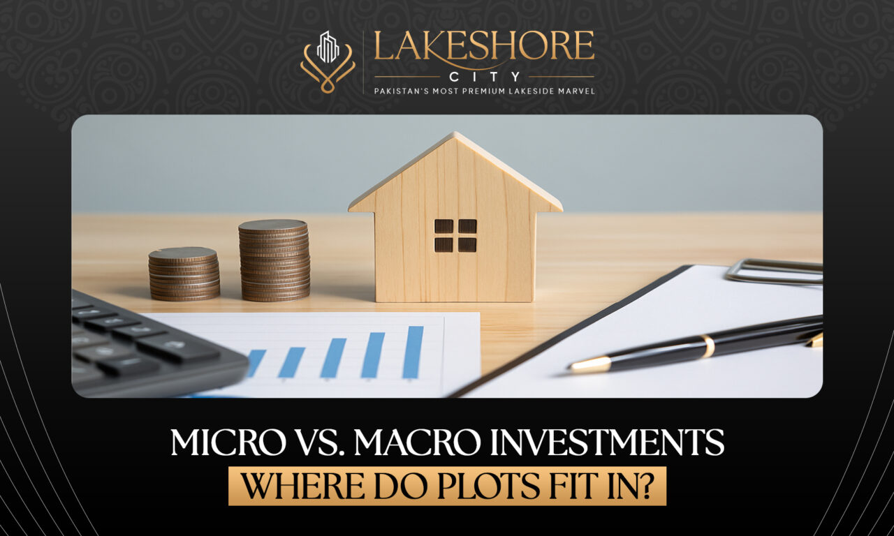 Micro vs. Macro Investment in Pakistan